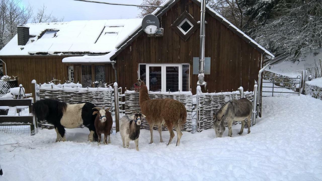 Funny-Farm Villa Sassen Eksteriør bilde