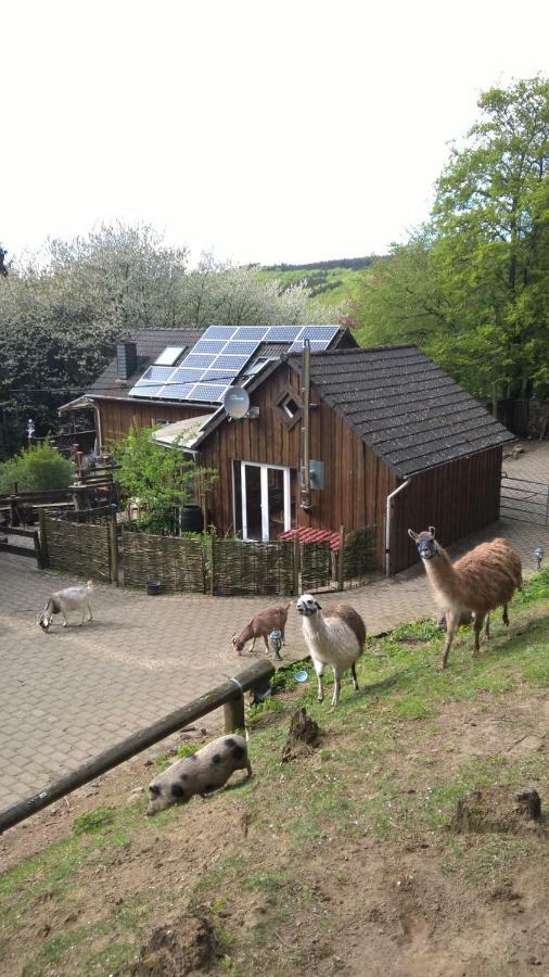 Funny-Farm Villa Sassen Eksteriør bilde